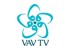 VAV TV